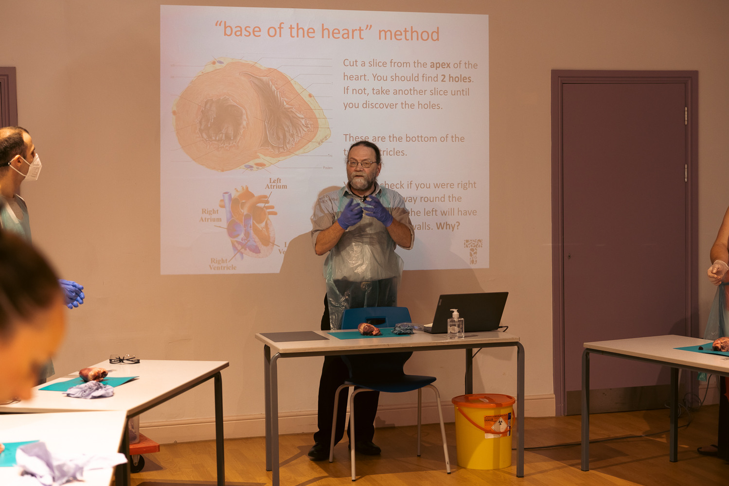 Image shows a cClass learning about hearts