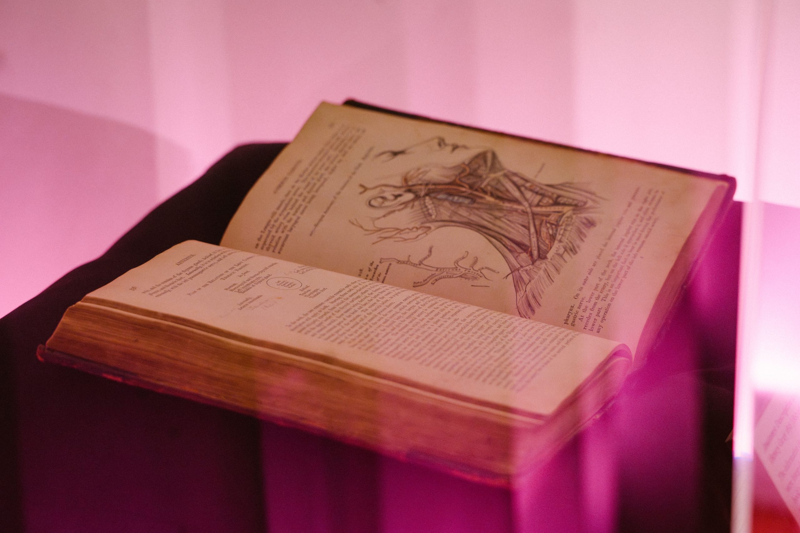 An anatomy book lays in a case